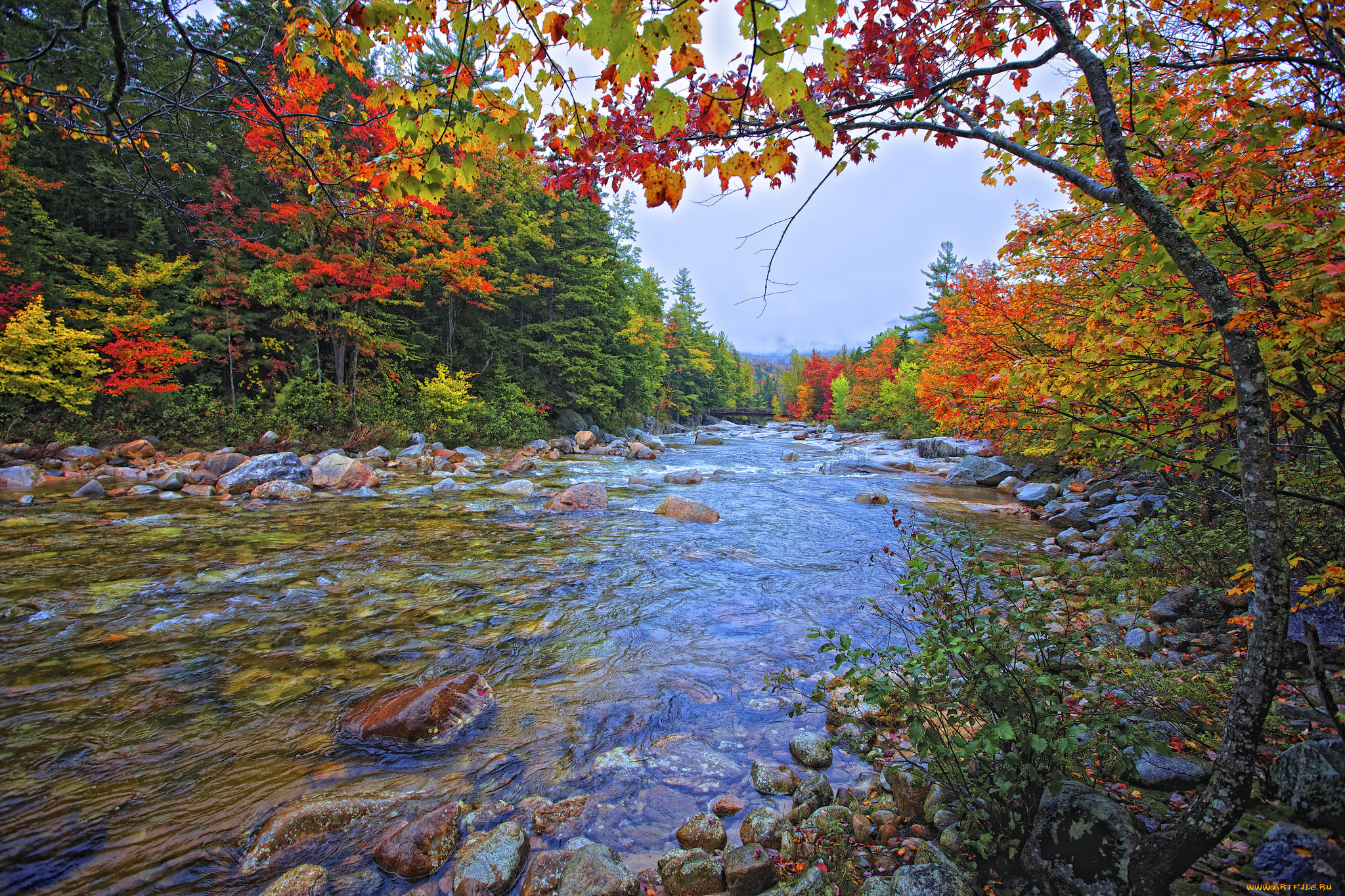 Осенний лес красками с рекой